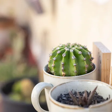 Hesperia Barri Gotic 3*